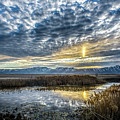 Bear River Bird Refuse at Sunrise