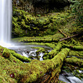 Mt Hood Nat'l Forest